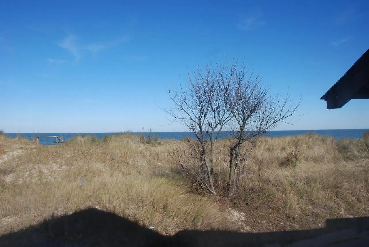 Beach Lovers Delight Cottage North Camellia Acres Holiday home