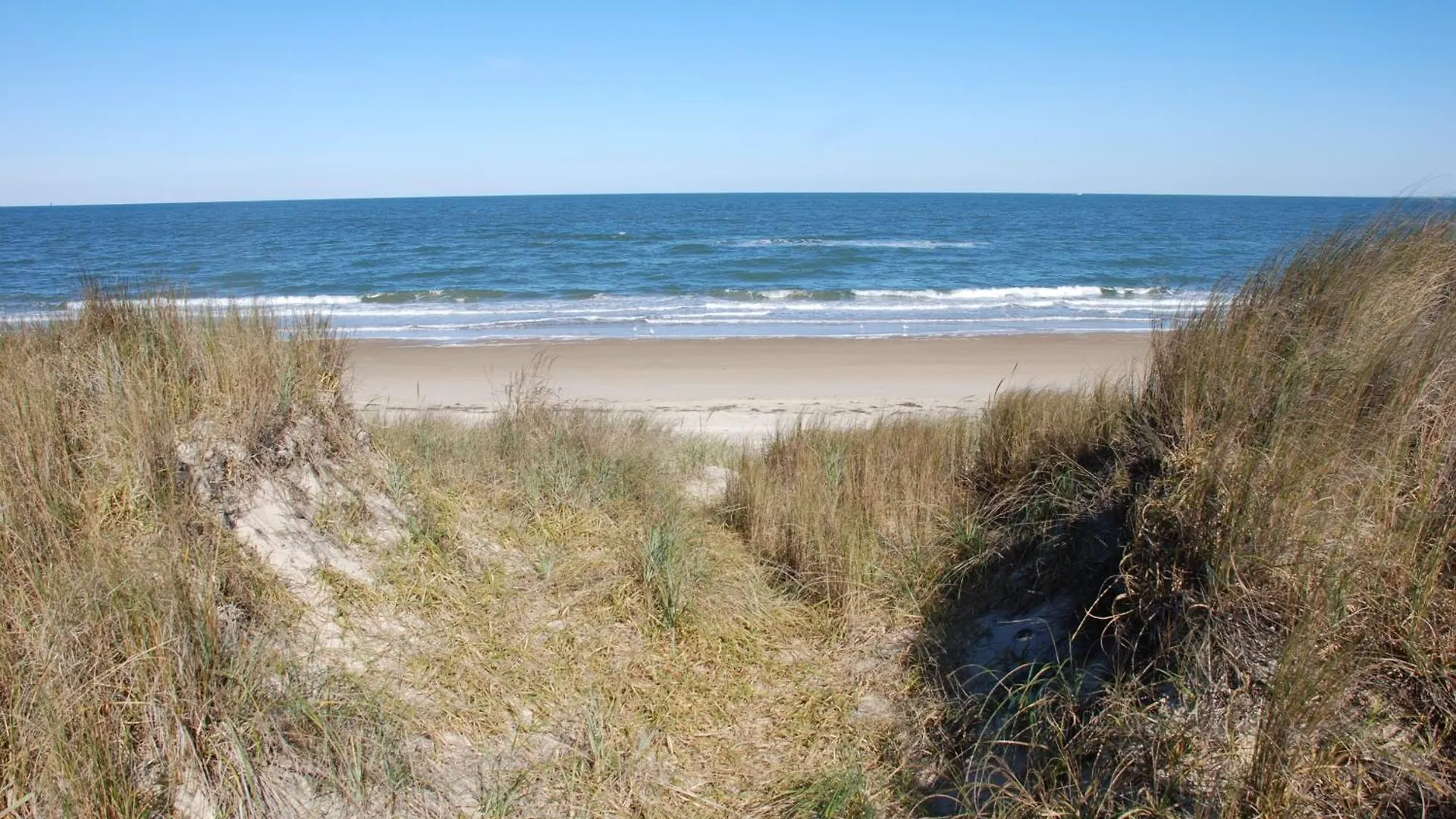 Beach Lovers Delight Cottage North Camellia Acres
